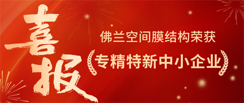 特大喜訊：佛蘭空間榮獲專(zhuān)精特新榮譽(yù)，技術(shù)創(chuàng)新再攀高峰