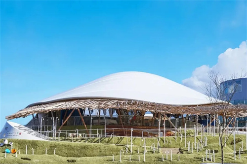 暑假來(lái)啦，佛蘭空間為您分享兒童友好無(wú)障礙館「水母館」