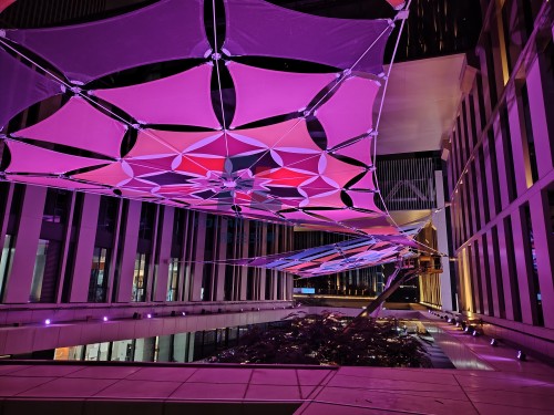 歲末收官，以膜為花 | 我們用 86 片膜材，在城市上空 “種” 出了兩朵會(huì)發(fā)光的索膜之花